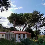 Tikiti פרופריאנו