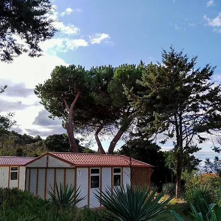 Tikiti Propriano (Corsica)