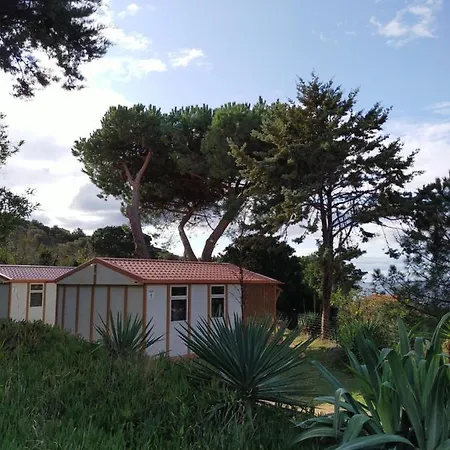 Tikiti Kamp alanı *