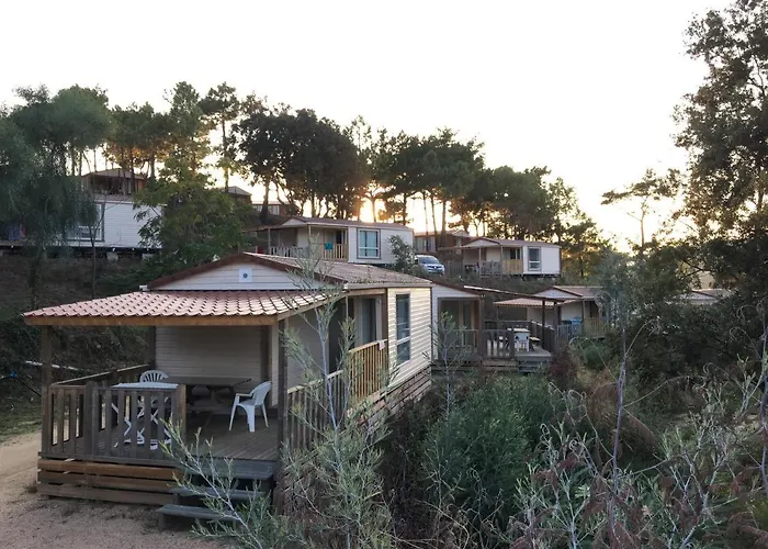 Camping Tikiti *