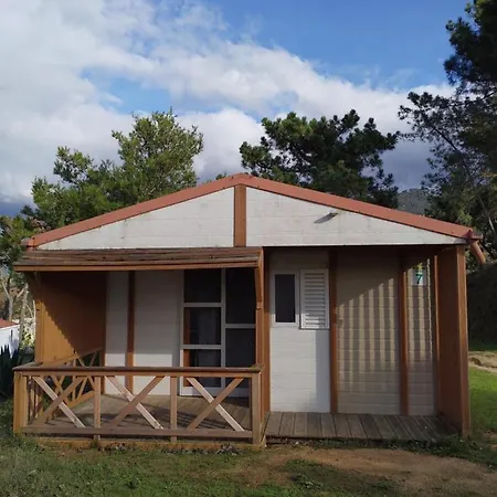 Camping Tikiti